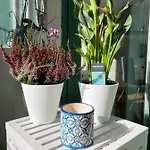 Brixhome * Laveno-Mombello